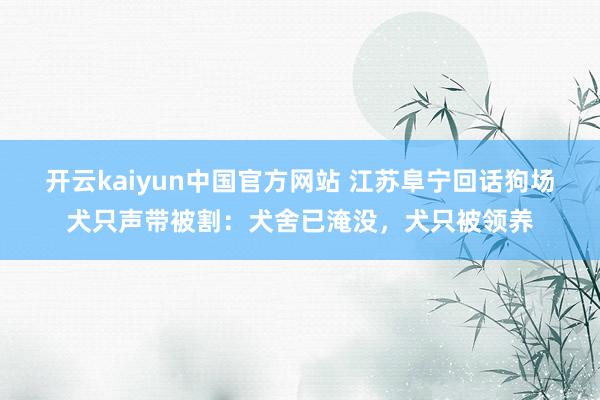 开云kaiyun中国官方网站 江苏阜宁回话狗场犬只声带被割：犬舍已淹没，犬只被领养