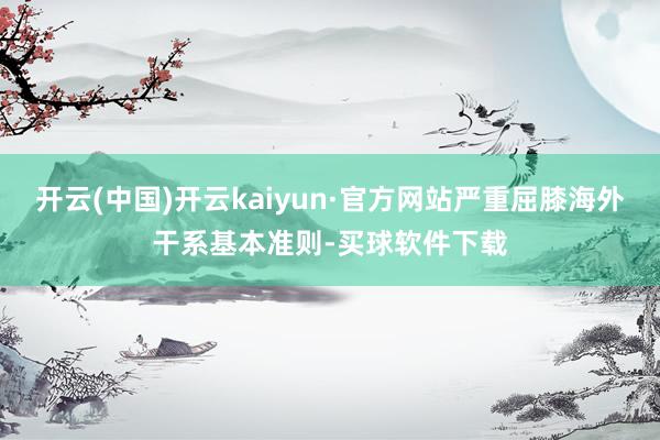 开云(中国)开云kaiyun·官方网站严重屈膝海外干系基本准则-买球软件下载