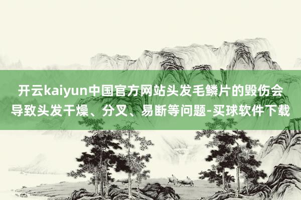 开云kaiyun中国官方网站头发毛鳞片的毁伤会导致头发干燥、分叉、易断等问题-买球软件下载
