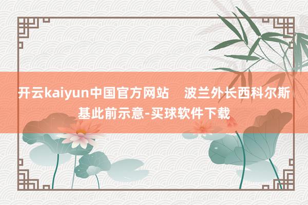 开云kaiyun中国官方网站    波兰外长西科尔斯基此前示意-买球软件下载