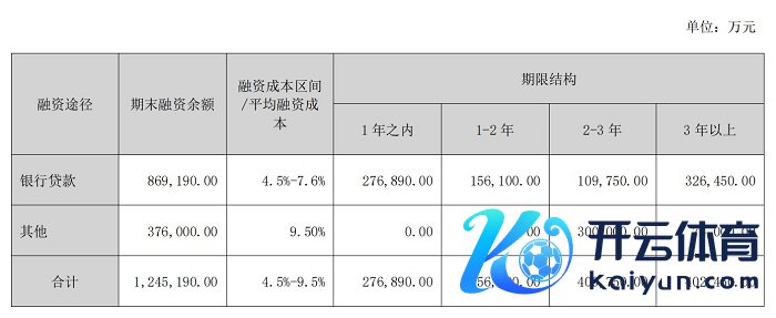 限度2023年末中洲控股融资情况。 截图自中洲控股2023年年报