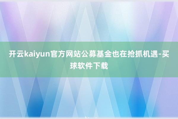 开云kaiyun官方网站公募基金也在抢抓机遇-买球软件下载