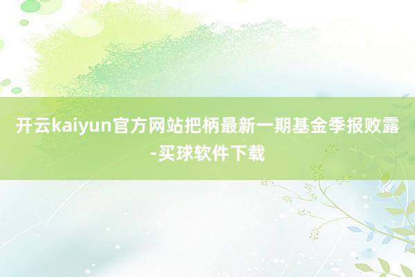 开云kaiyun官方网站把柄最新一期基金季报败露-买球软件下载