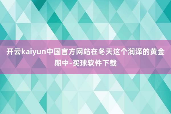 开云kaiyun中国官方网站在冬天这个润泽的黄金期中-买球软件下载