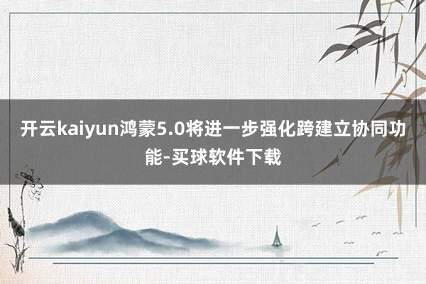 开云kaiyun鸿蒙5.0将进一步强化跨建立协同功能-买球软件下载